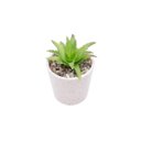 Ver imagem 3 de CACHEPOT SUPORTE MADEIRA GRANILITE PINK QUARTZ ROSA