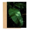 Ver imagem 2 de Placa Folhagem Verde:mod 3