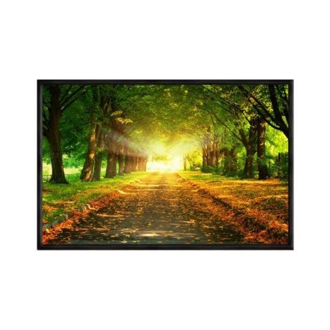 Quadro Decorativo - Tunel Verde Outono Flnt032 - Tela Canvas - 60x40cm