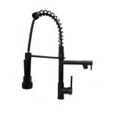 Ver imagem 1 de Torneira Gourmet Monocomando com Spray Extensor - Preto