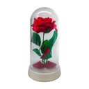 Ver imagem 1 de Linda Redoma com Rosa Azul, inspirada na A Rosa Encantada do filme a A Bela e A Fera e do O Pequeno