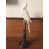 Enfeite Periquito Decorativa no Pedestal Presente Criativo Personalizado - 2