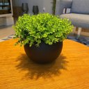 Ver imagem 2 de Arranjo Centro Mesa Vaso Preto Verdinho Artificial Completo Decore Fácil Shop