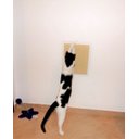 Ver imagem 3 de Arranhador de Parede para Gatos Toth Pet em MDF 15mm Branco com Sisal