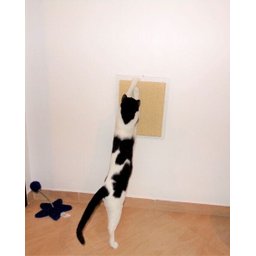 Arranhador de Parede para Gatos Toth Pet em MDF 15mm Branco com Sisal - 3
