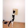 Arranhador de Parede para Gatos Toth Pet em MDF 15mm Branco com Sisal - 3