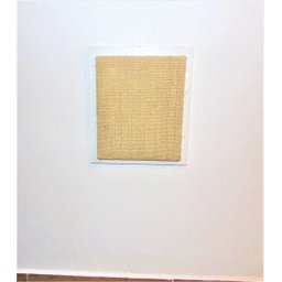 Arranhador de Parede para Gatos Toth Pet em MDF 15mm Branco com Sisal - 5