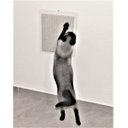 Ver imagem 4 de Arranhador de Parede para Gatos Toth Pet em MDF 15mm Branco com Sisal