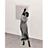 Arranhador de Parede para Gatos Toth Pet em MDF 15mm Branco com Sisal - 4
