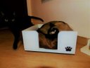 Ver imagem 5 de Cama para Gatos Candy Toth Pet em MDF 15mm cantos arredondados Branca