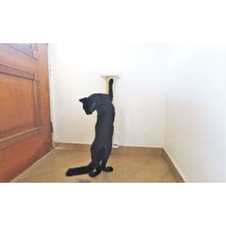 Arranhador para Gatos Polidance Cat da Toth Pet 65cm: Sisal, PVC e MDF Branco - 7