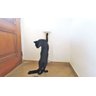 Arranhador para Gatos Polidance Cat da Toth Pet 65cm: Sisal, PVC e MDF Branco - 7