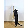 Arranhador para Gatos Polidance Cat da Toth Pet 65cm: Sisal, PVC e MDF Branco - 6