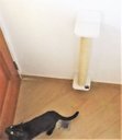 Ver mais imagens de Arranhador para Gatos Polidance Cat da Toth Pet 65cm: Sisal, PVC e MDF Branco