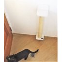 Ver mais imagens de Arranhador para Gatos Polidance Cat da Toth Pet 65cm: Sisal, PVC e MDF Branco