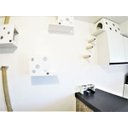 Ver imagem 6 de Arranhador de Parede para Gatos Toth Pet Prateleira Central Queen Branco