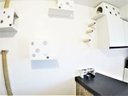 Ver imagem 6 de Arranhador de Parede para Gatos Toth Pet Prateleira Central Queen Branco