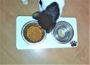 Ver imagem 6 de Comedouro Cat para Gatos, Tigelas em Inox e MDF 15mm Branco