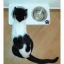 Ver imagem 7 de Comedouro Cat para Gatos, Tigelas em Inox e MDF 15mm Branco