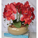 Ver imagem 2 de Arranjo Com 4 Orquídeas Vermelha Vaso Fendi 28cm