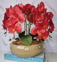 Ver imagem 2 de Arranjo Com 4 Orquídeas Vermelha Vaso Fendi 28cm