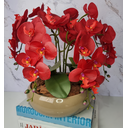 Ver imagem 3 de Arranjo Com 4 Orquídeas Vermelha Vaso Fendi 28cm