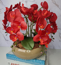 Ver imagem 3 de Arranjo Com 4 Orquídeas Vermelha Vaso Fendi 28cm