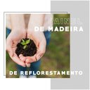 Ver imagem 2 de Armário Utilitário Multiuso 2 Portas Espelho Branco