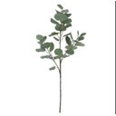 Ver imagem 1 de Galho Eucalipto Gigante 1,2m Verde Florarte Flor Arte