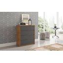 Ver imagem 1 de Cômoda 4 Gavetas Atria Demartêz Amendola/grafito