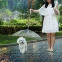 Ver imagem 1 de Guarda Chuva Pet Para Cachorro Cães Capa De Chuva