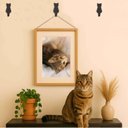 Ver imagem 3 de Conjunto 6 Ganchos Gato Preto Aço Pendurador Luft Masutti Enfeite de Parede Roupas Multiuso