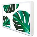 Ver imagem 2 de Quadro Decorativo Caixa Floral Folhagem Costela de Adão Tacolado Moldura Caixa 3cm Madeira com Vidro