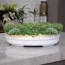 Ver imagem 4 de Vaso Bacia Decorativo Osaka Branco Gold Vietnamit G 16 Cm B02 - D'Rossi