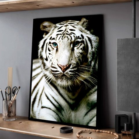 Quadro Decorativo Motivacional Tigre Branco em Moldura Caixa TACOLADO PAPEL DE PAREDE Moldura Caixa 