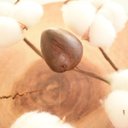 Ver imagem 3 de Haste de Flor de Algodão Envelhecida | Linha Permanente Formosinha