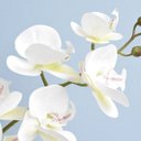 Ver imagem 2 de Arranjo de Orquídea Artificial Branca 3D no Vaso de Vidro Rose Gold Médio