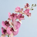 Ver imagem 5 de Arranjo de Orquídea Artificial Rosa 3D no Vaso de Vidro Rose Gold Médio