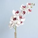 Ver imagem 6 de Arranjo de Orquídea Artificial Tigre 3D No Vaso Rose Gold Médio