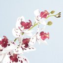 Ver imagem 2 de Arranjo de Orquídea Artificial Tigre 3D No Vaso Rose Gold Médio