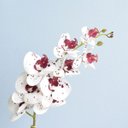 Ver imagem 3 de Arranjo de Orquídea Artificial Tigre 3D No Vaso Rose Gold Médio