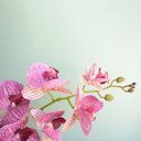 Ver imagem 2 de Arranjo de Orquídea Artificial Rosa 3D no Vaso Transparente Médio