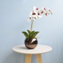 Ver imagem 1 de Arranjo de Orquídea Artificial Tigre 3D no Vaso de Vidro Bronze Médio