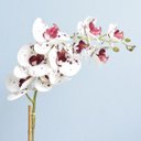 Ver imagem 2 de Arranjo de Orquídea Artificial Tigre 3D no Vaso de Vidro Bronze Médio