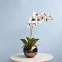 Ver imagem 5 de Arranjo de Orquídea Artificial Tigre 3D no Vaso de Vidro Bronze Médio