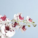 Ver imagem 4 de Arranjo de Orquídea Artificial Tigre 3D no Vaso de Vidro Bronze Médio