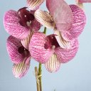 Ver imagem 7 de Arranjo de Orquídea Artificial Rosa 3D no Vaso Prateado Médio