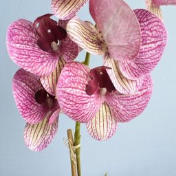 Arranjo de Orquídea Artificial Rosa 3D no Vaso Prateado Médio - 7