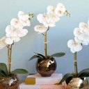 Ver imagem 4 de Arranjo de Orquídea de Silicone Branca no Vaso de Vidro Bronze Pequeno