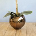 Ver imagem 2 de Arranjo de Orquídea de Silicone Branca no Vaso de Vidro Bronze Pequeno